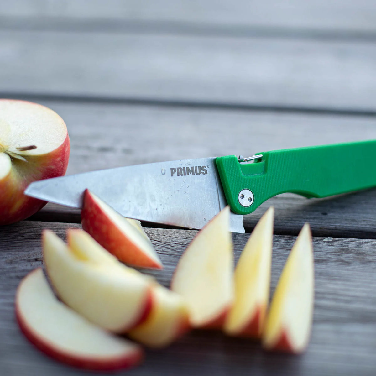 P740450_fieldchef-pocket-knife_stina-hjelm_2019-02