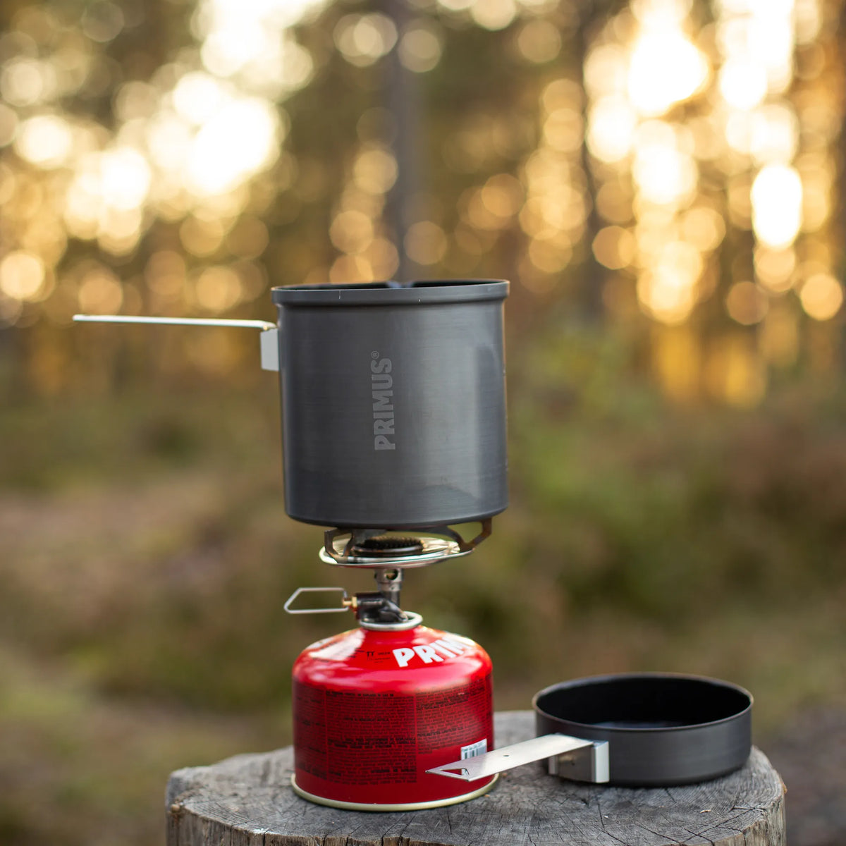 P741410_trek-pot_stina-hjelm_2019-17